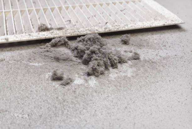 Best Emergency Air Duct Cleaning  in Thorsby, AL
