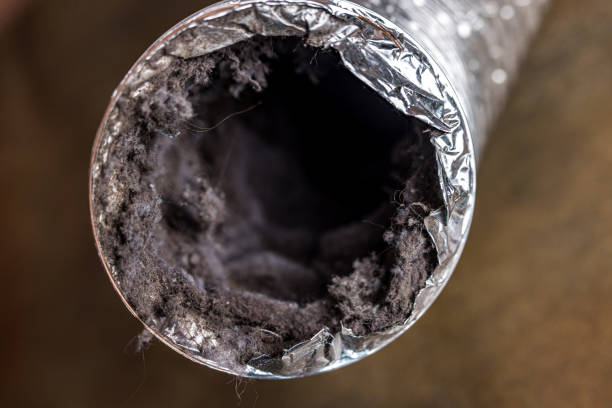 Best Residential Air Duct Cleaning  in Thorsby, AL